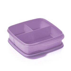Tupperware Eco+ Lunch-It® Container-Sorbet